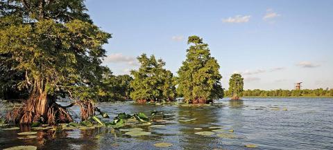 Sheldon Lake State Park & Environmental Learning Center